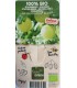 UVA SPINA " EASYCRISP MR GREEN®" 100% BIOLOGICA